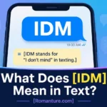 IDM Meaning in Text