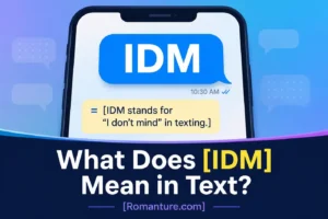 IDM Meaning in Text